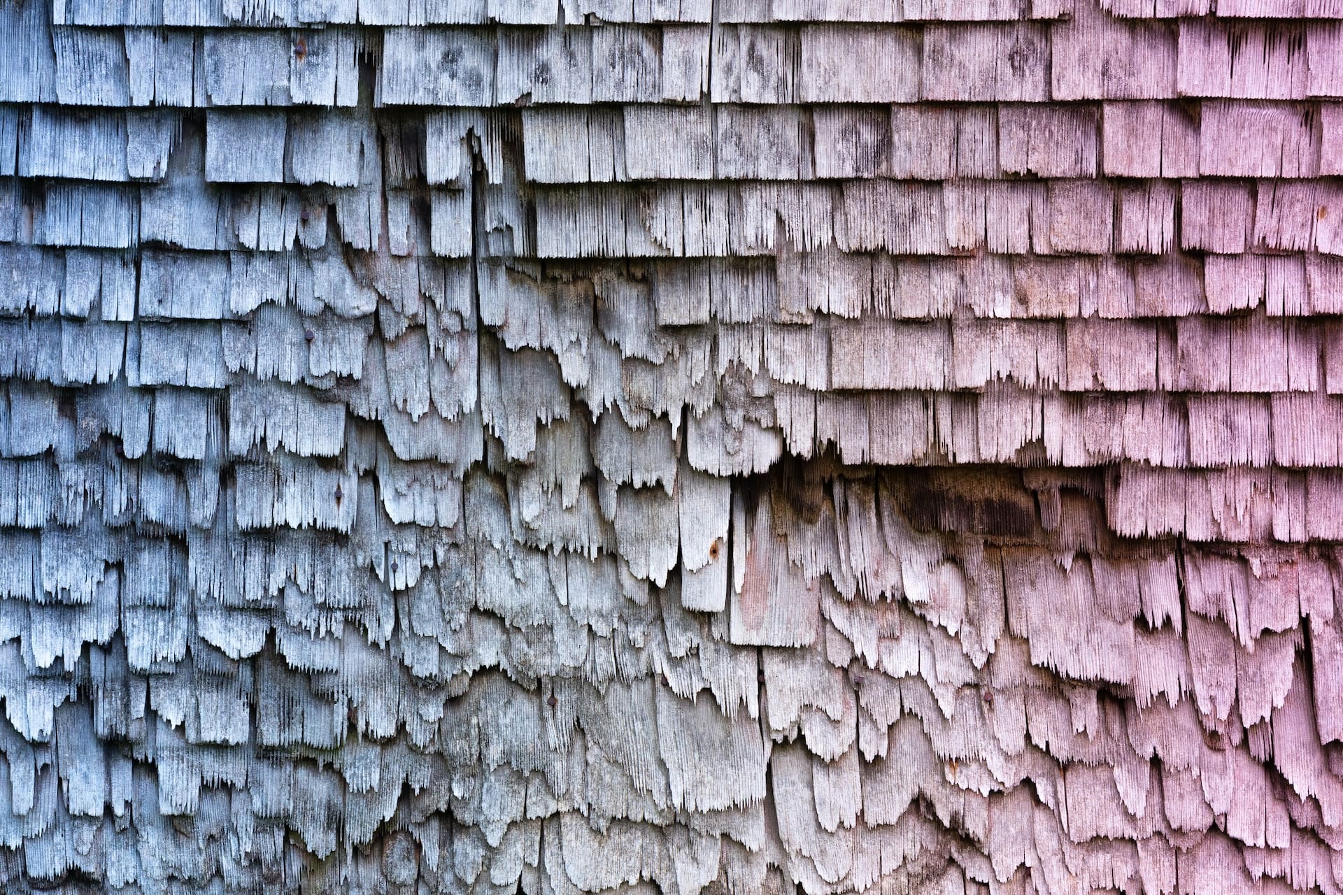 How to Spot Shingle Damage Before It Becomes a Big Problem