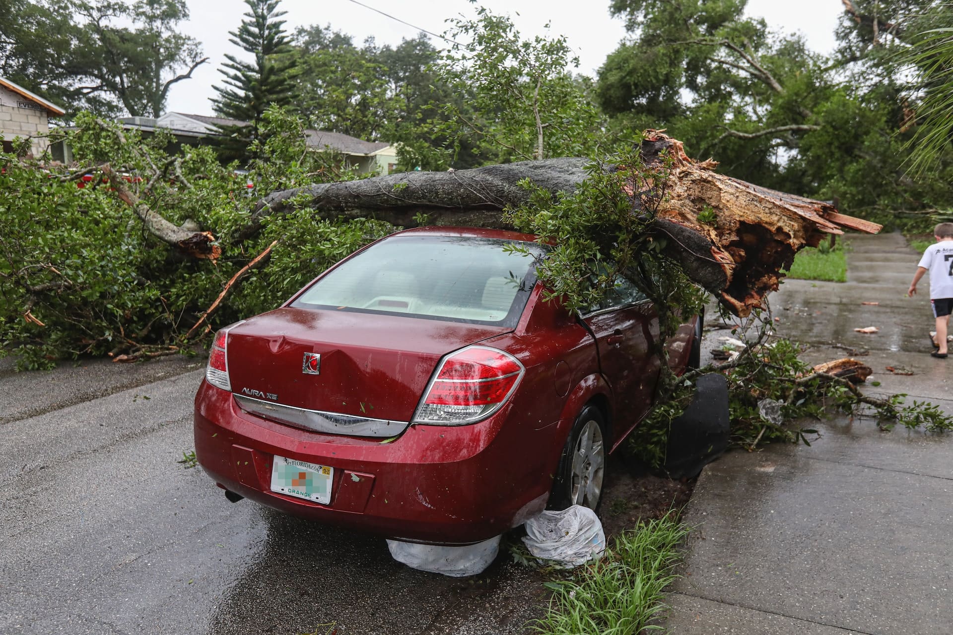 Storm Damage 101: Understanding the Different Types of Damage and How to Address Them