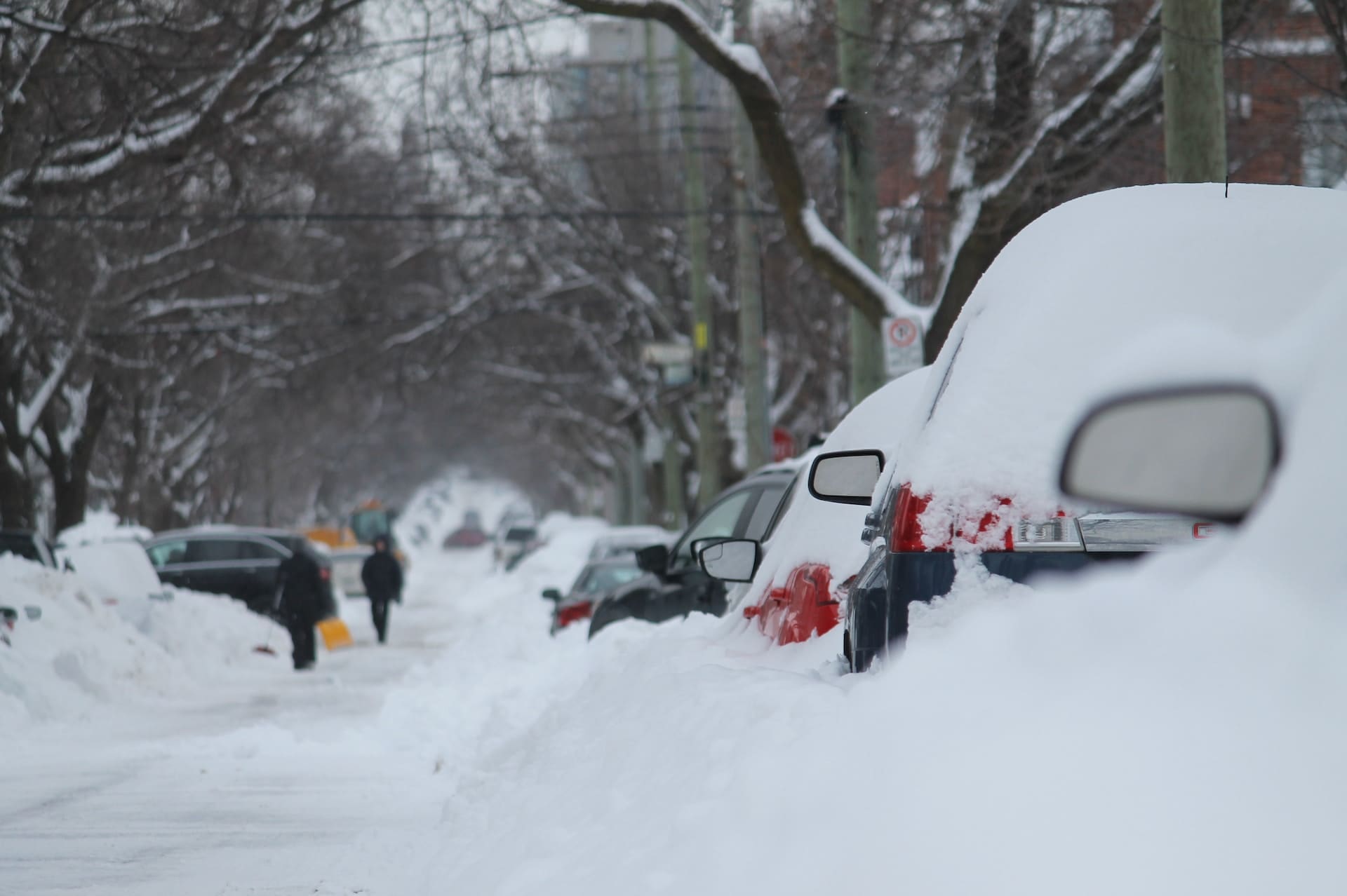 Surviving the Snowpocalypse: Essential Tips for Staying Safe During a Blizzard