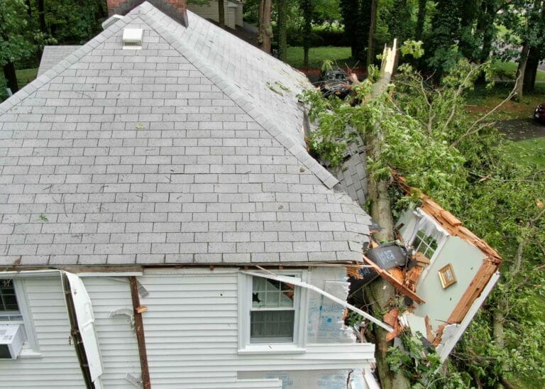 After the Storm: Assessing and Repairing Wind Damage to Your Property