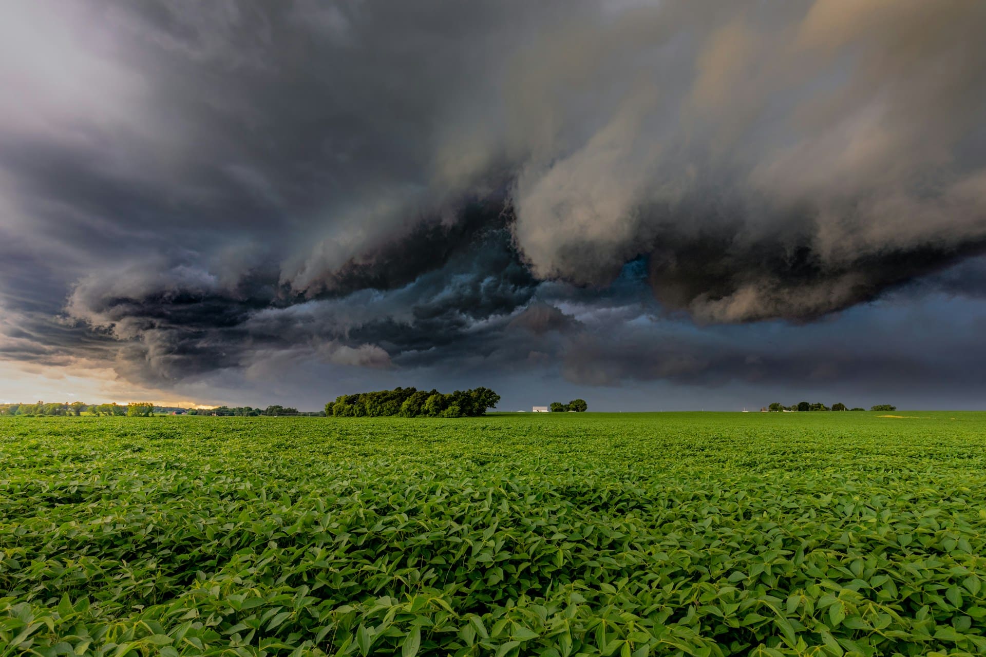 Blue Tarps and Thunderstorms: A Study in Rain