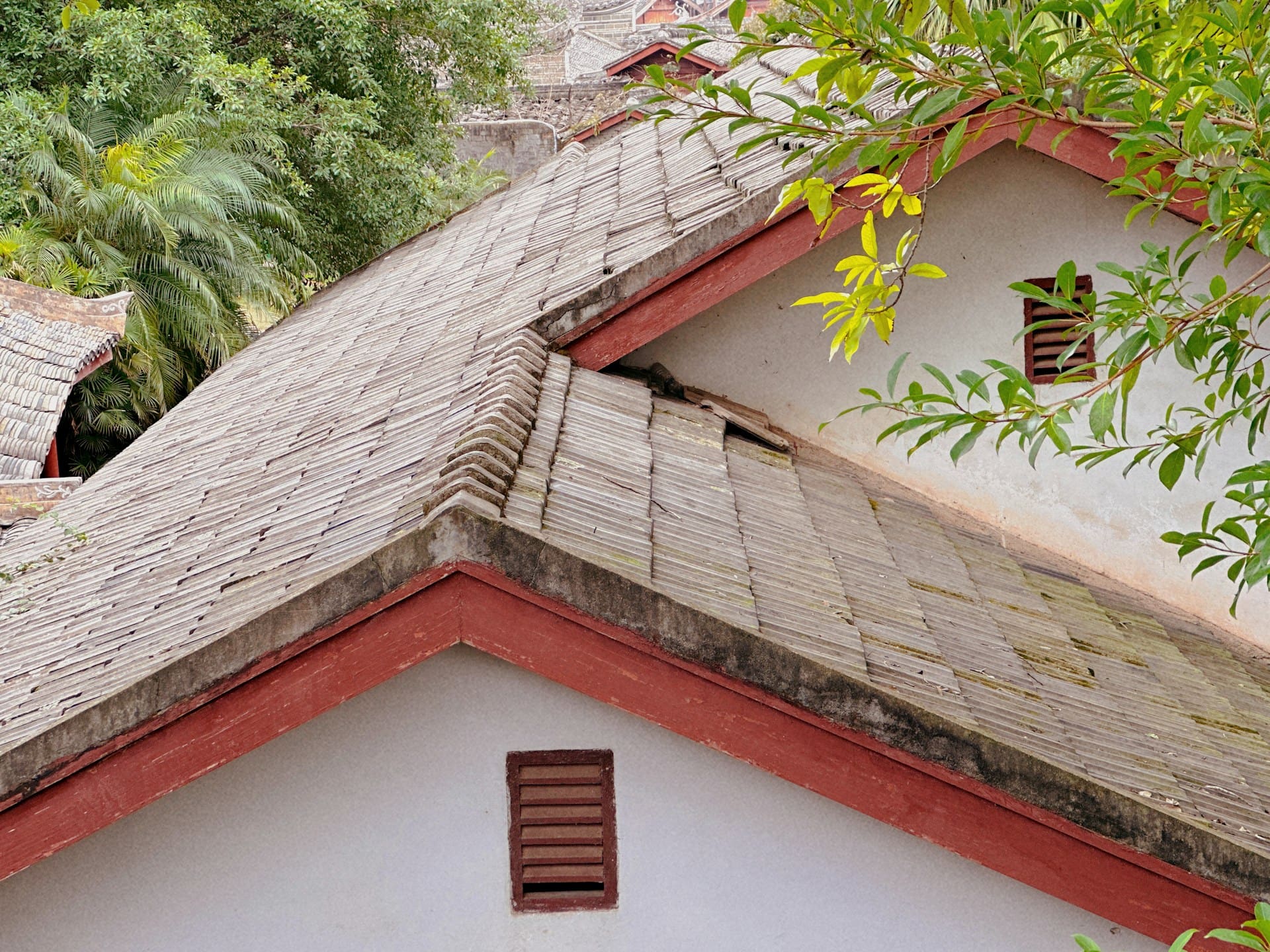 Roof Risks: 5 Ways Wind Can Damage Your Roof