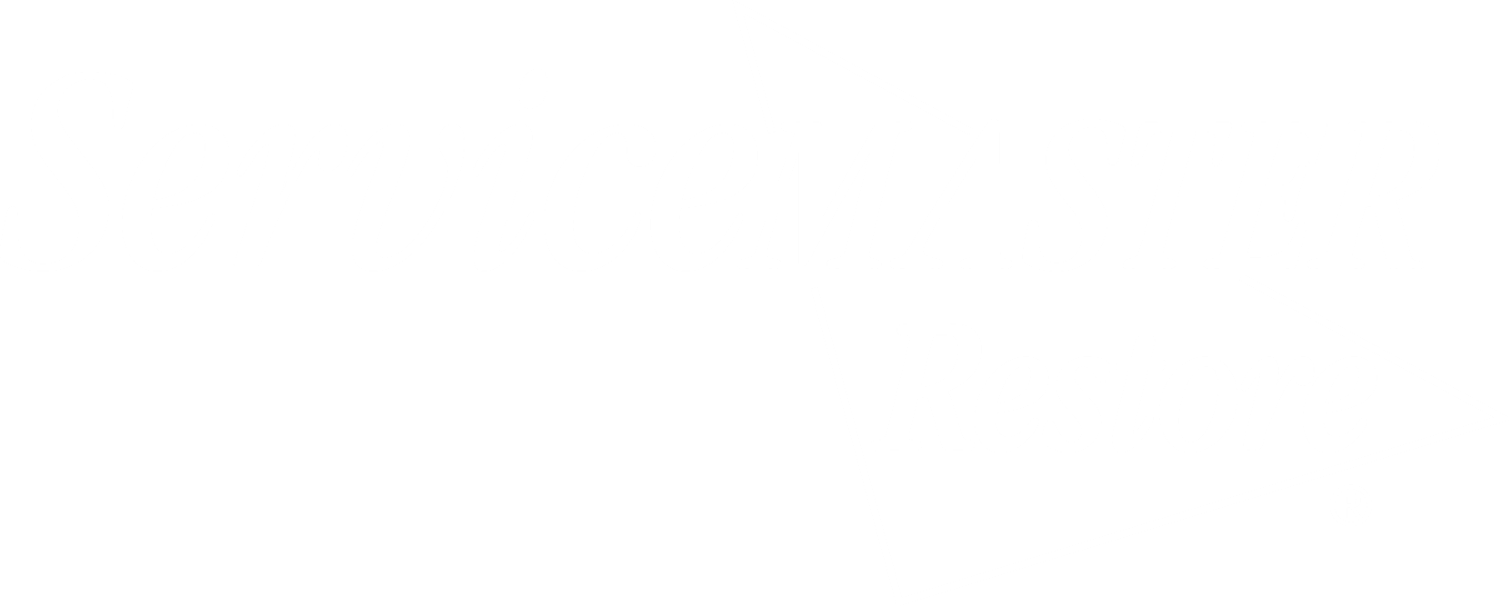Partner name